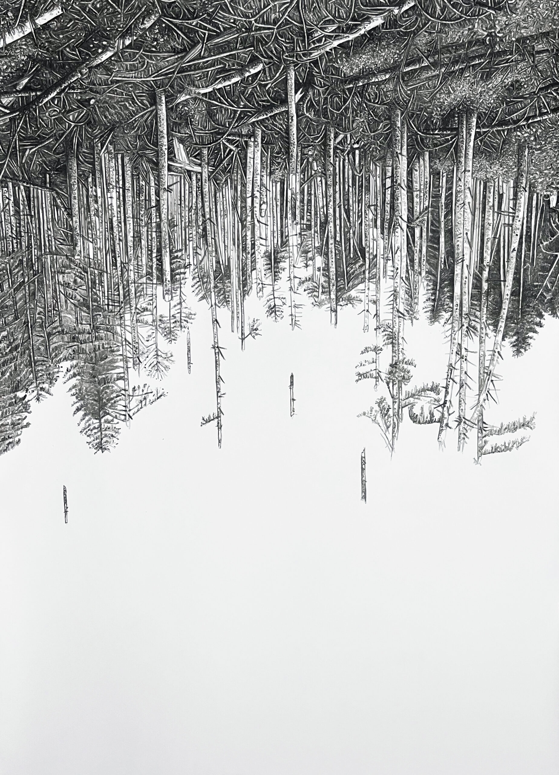 MARIANNE LANG | Sturmwurf